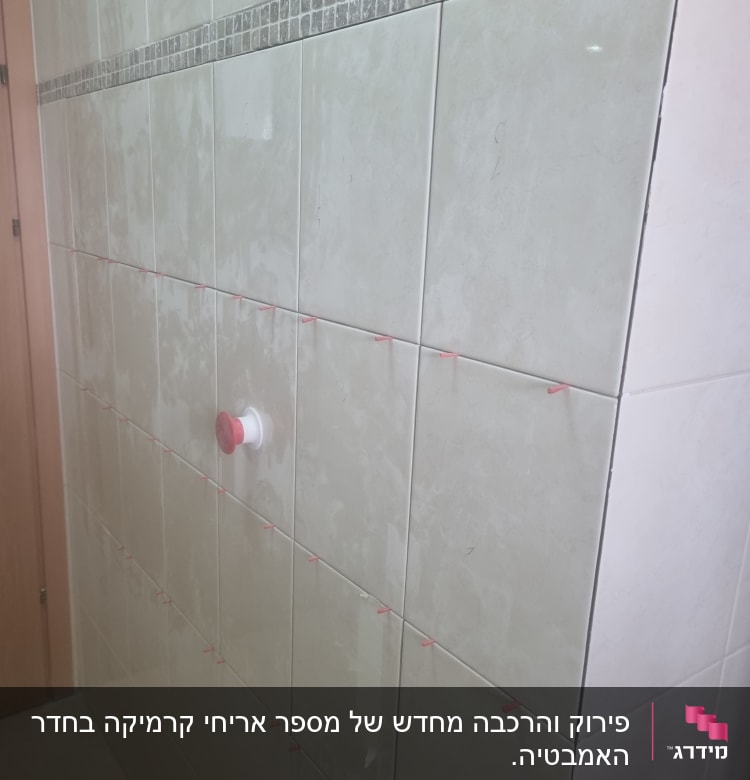 קיר אריחים עם חוצצים ורוזטה אדומה